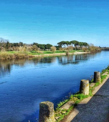 Domaine Les Bertins in SAINT-ASTIER - Tourism Pays Foyen